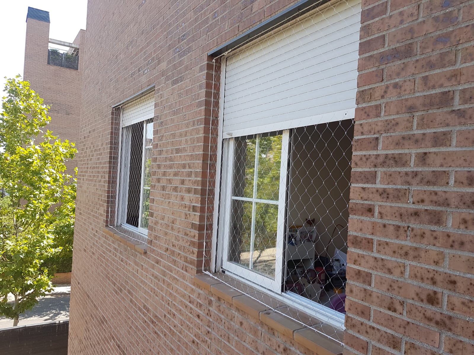 Protección a niños - balcones y ventanas 